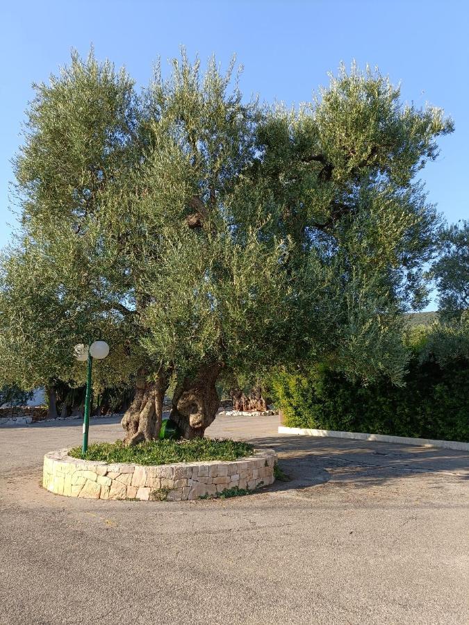 Masseria Galleppa By Apulia Hospitality Macchia di Monte Extérieur photo